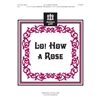 Lo! How a Rose